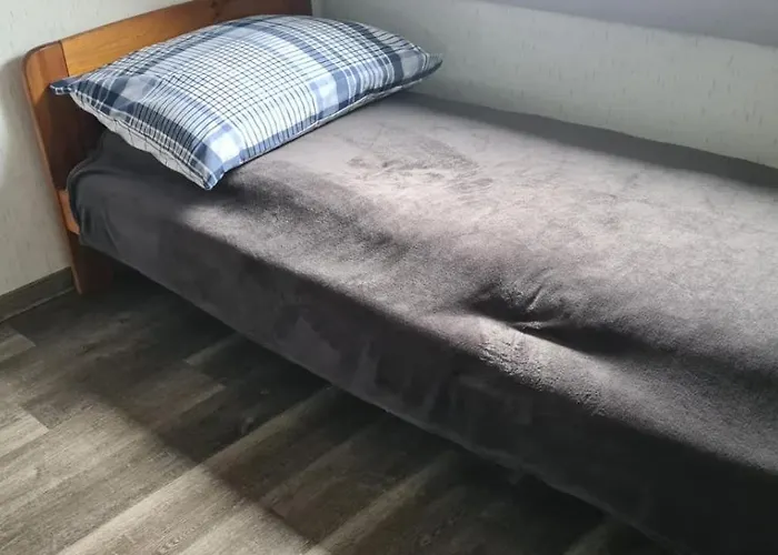 Juhar * Kiskunhalas